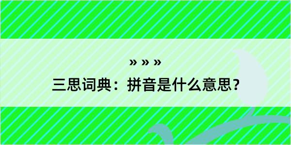 三思词典：拼音是什么意思？