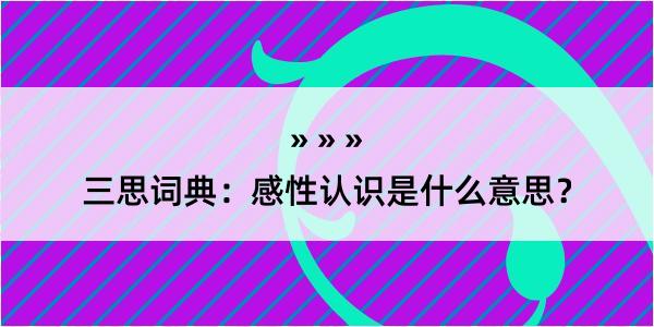 三思词典：感性认识是什么意思？