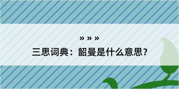 三思词典：韶曼是什么意思？