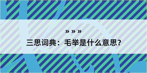 三思词典：毛举是什么意思？