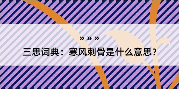 三思词典：寒风刺骨是什么意思？