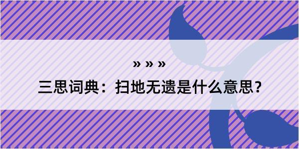 三思词典：扫地无遗是什么意思？