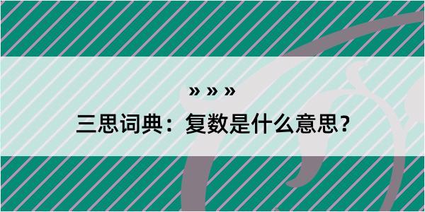 三思词典：复数是什么意思？