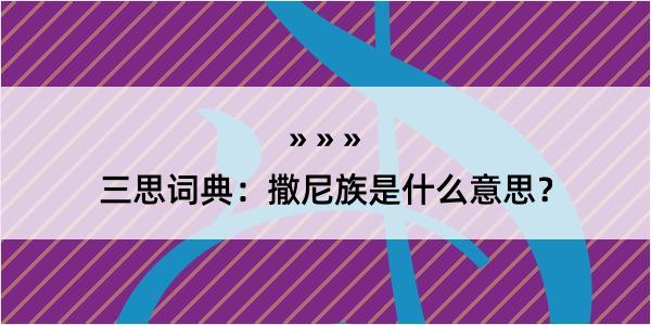 三思词典：撒尼族是什么意思？