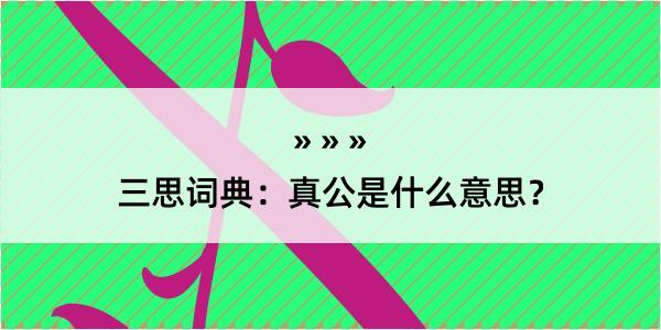 三思词典：真公是什么意思？