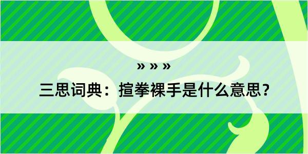 三思词典：揎拳裸手是什么意思？