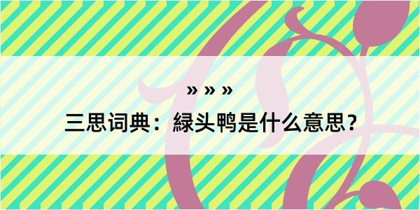 三思词典：緑头鸭是什么意思？