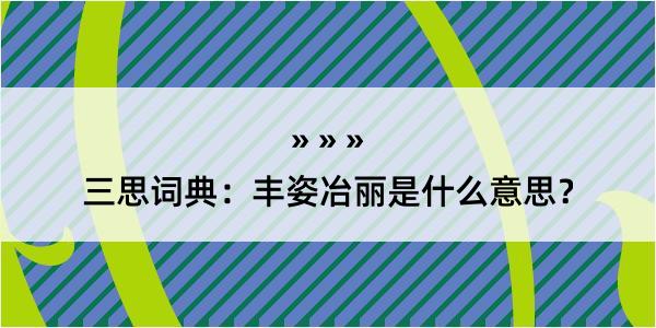 三思词典：丰姿冶丽是什么意思？