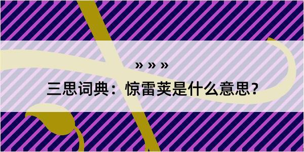 三思词典：惊雷荚是什么意思？