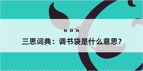 三思词典：调书袋是什么意思？