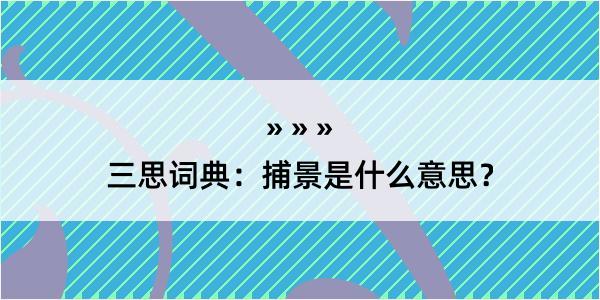 三思词典：捕景是什么意思？