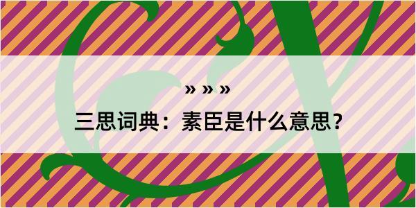 三思词典：素臣是什么意思？