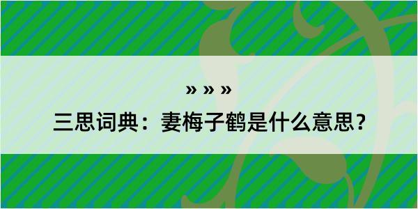 三思词典：妻梅子鹤是什么意思？