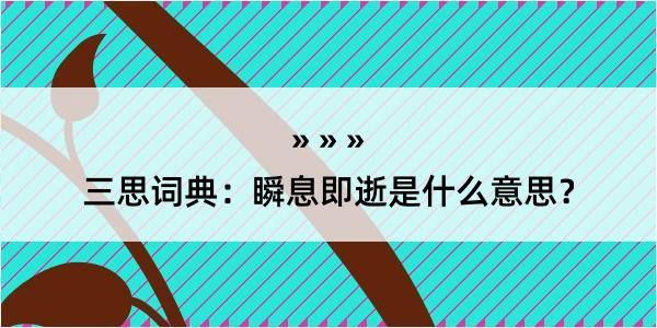 三思词典：瞬息即逝是什么意思？