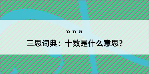 三思词典：十数是什么意思？