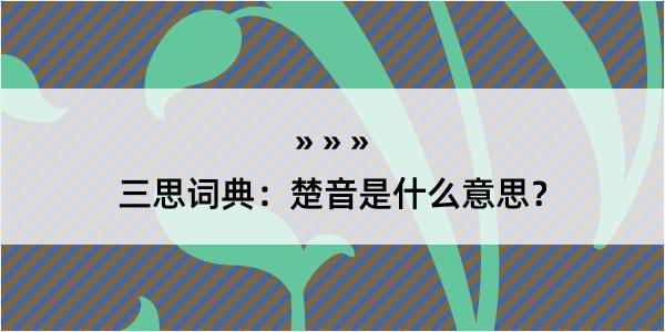 三思词典：楚音是什么意思？