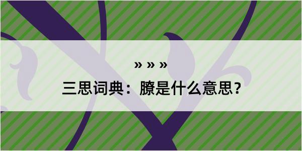 三思词典：膫是什么意思？