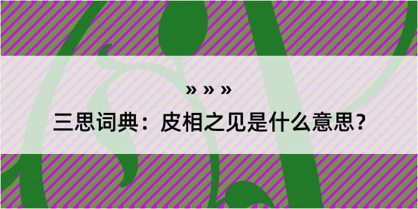 三思词典：皮相之见是什么意思？