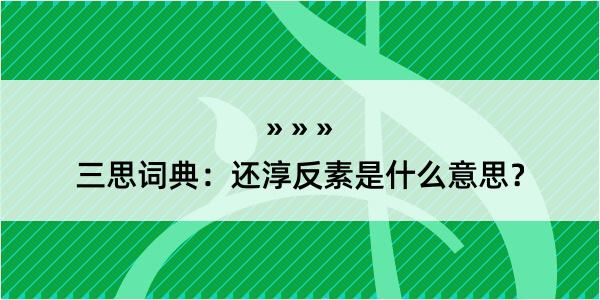 三思词典：还淳反素是什么意思？