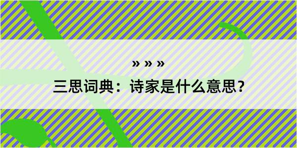 三思词典：诗家是什么意思？