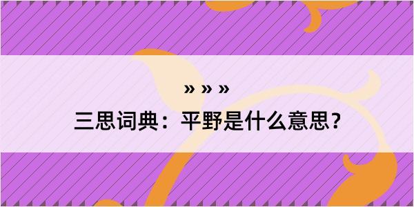 三思词典：平野是什么意思？