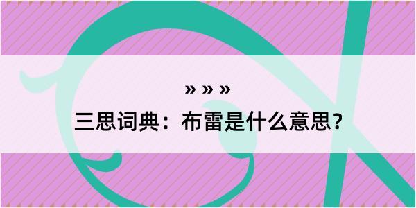 三思词典：布雷是什么意思？