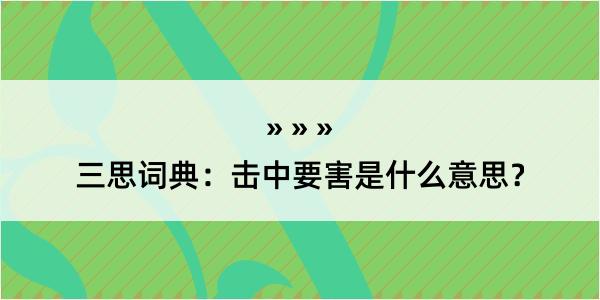 三思词典：击中要害是什么意思？