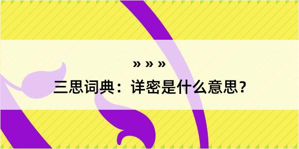 三思词典：详密是什么意思？