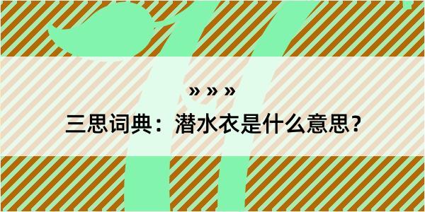 三思词典：潜水衣是什么意思？