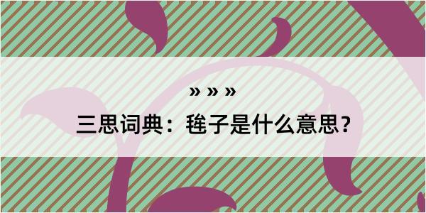 三思词典：毪子是什么意思？