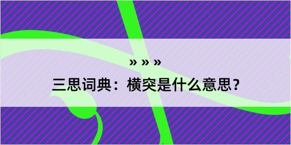 三思词典：横突是什么意思？