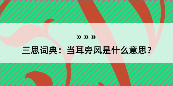 三思词典：当耳旁风是什么意思？