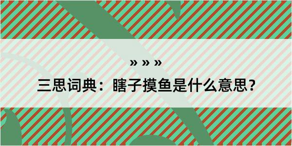 三思词典：瞎子摸鱼是什么意思？