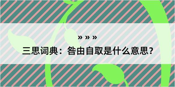 三思词典：咎由自取是什么意思？