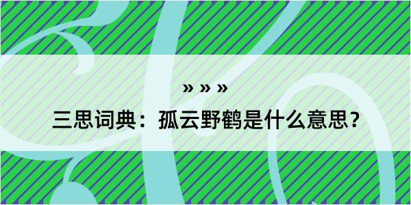 三思词典：孤云野鹤是什么意思？