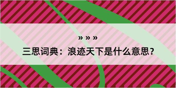 三思词典：浪迹天下是什么意思？