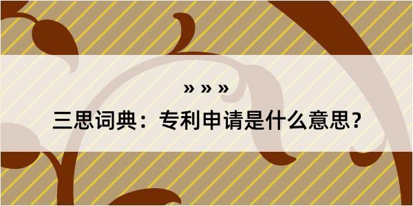 三思词典：专利申请是什么意思？