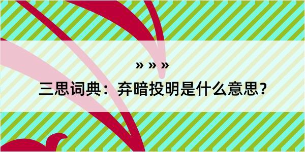 三思词典：弃暗投明是什么意思？