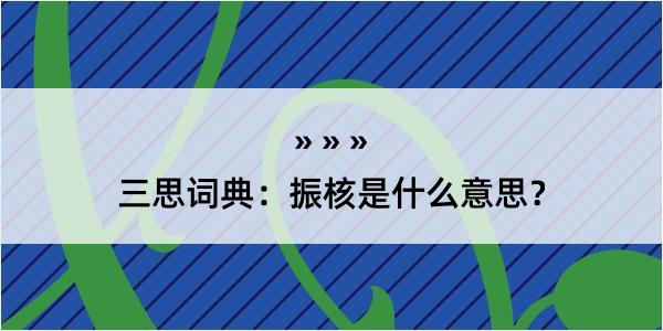 三思词典：振核是什么意思？