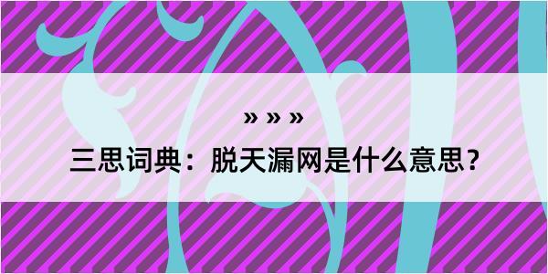 三思词典：脱天漏网是什么意思？