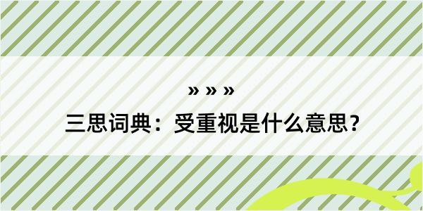 三思词典：受重视是什么意思？