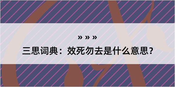 三思词典：效死勿去是什么意思？