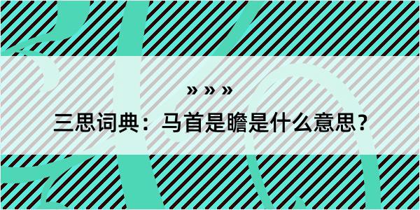 三思词典：马首是瞻是什么意思？