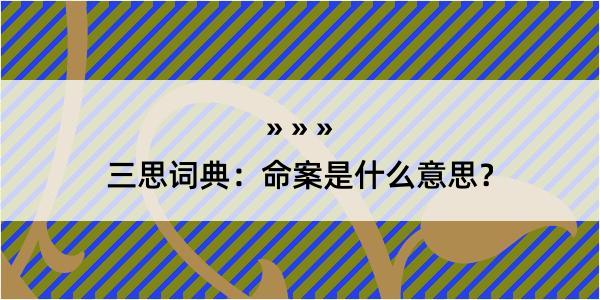 三思词典：命案是什么意思？