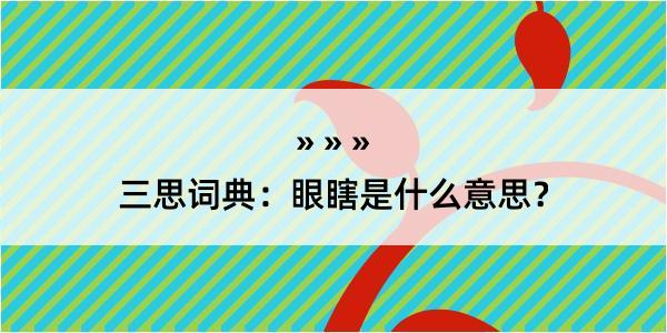 三思词典：眼瞎是什么意思？