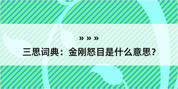 三思词典：金刚怒目是什么意思？