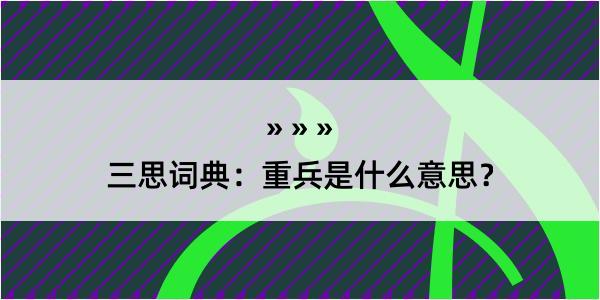 三思词典：重兵是什么意思？