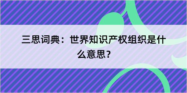 三思词典：世界知识产权组织是什么意思？