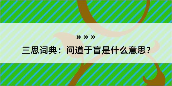 三思词典：问道于盲是什么意思？