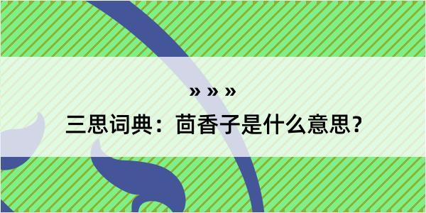 三思词典：茴香子是什么意思？